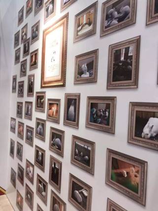 1561966668199925.jpg 33.jpg