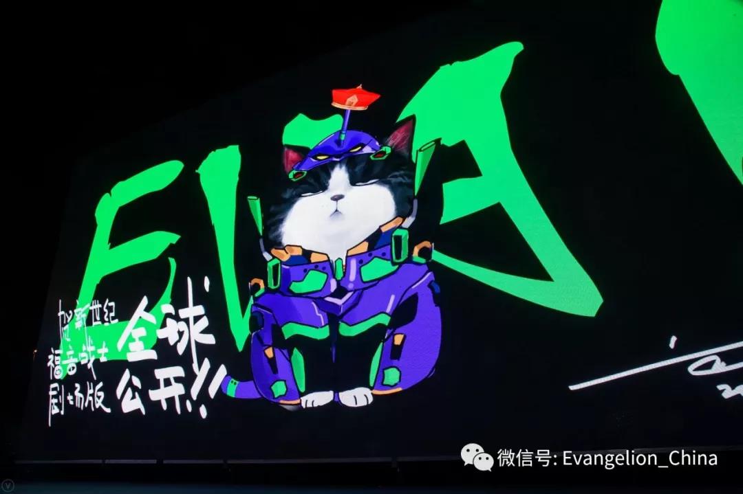 1562550561566212.jpg 8.jpg